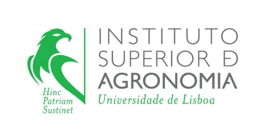 P lisboa